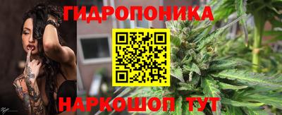 крисы Тверь