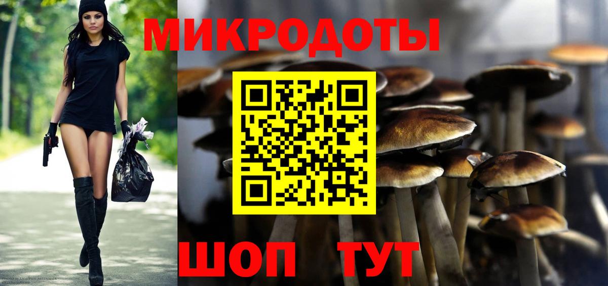 Псилоцибиновые грибы мухоморы Азов